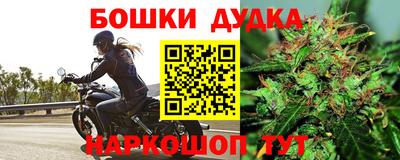мдпв Брянск