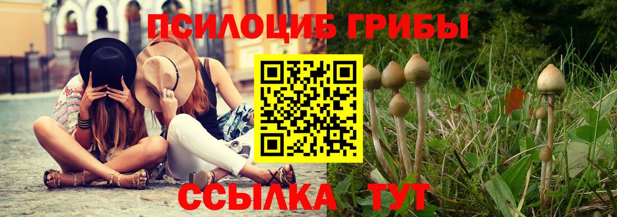 Галлюциногенные грибы MAGIC MUSHROOMS Гурьевск