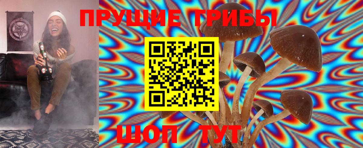 Псилоцибиновые грибы ЛСД  Галлюциногенные грибы GOLDEN TEACHER  Гурьевск  Вход с VPN 